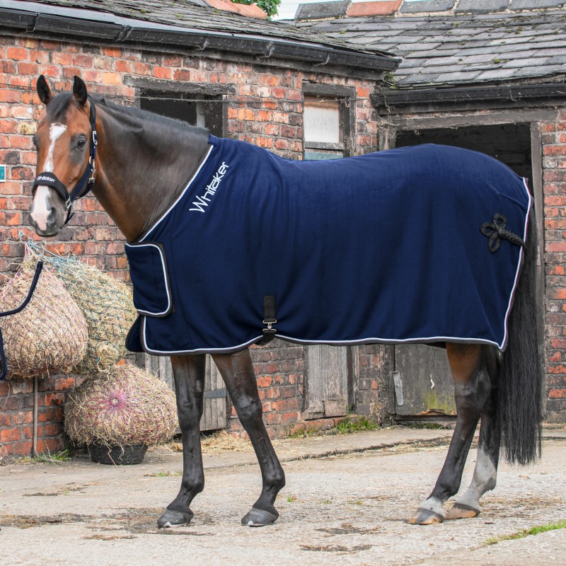 R160 Club Show Rug with Luxury Fluffy Lining in Navy